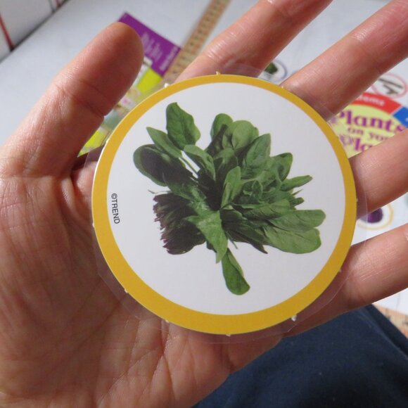 Plants on the Grow Extra Large BULLETIN BOARD SET LAMINATED  Classroom Posters - Picture 7 of 12